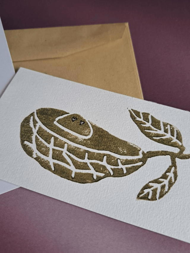BABY AVOCADO - Linogravures PLANTOUNES