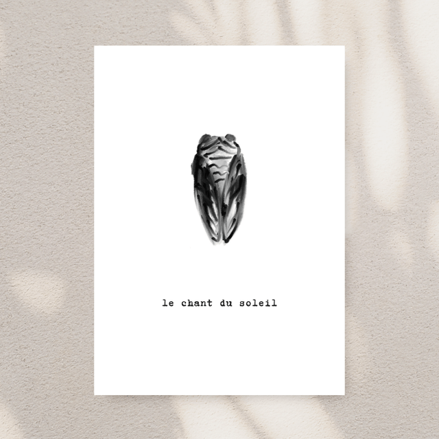 MINIMAL / SUD